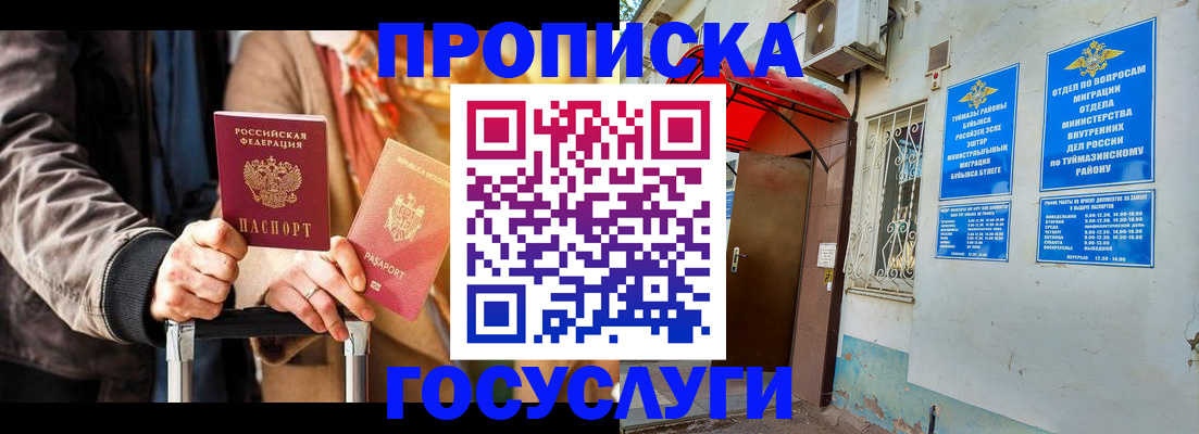 прописка гарантия в Борзе